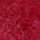 Alizarin Crimson